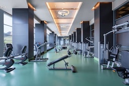 Radisson Blu Hotel & Spa, Istanbul Tuzla - Spor salonu