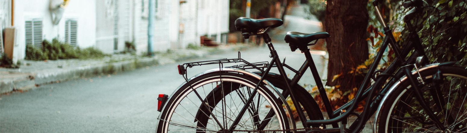 Radisson Blu Hotel and Spa, Istanbul Tuzla - Cycling at Princess Islands