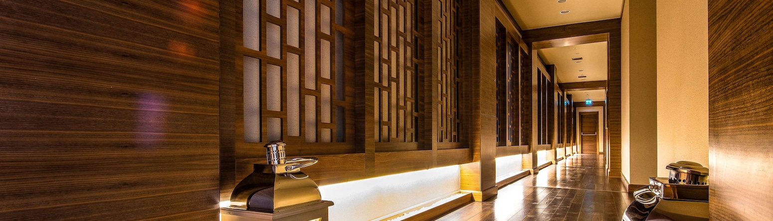 Radisson Blu Hotel & Spa, Istanbul Tuzla - 水疗中心走廊