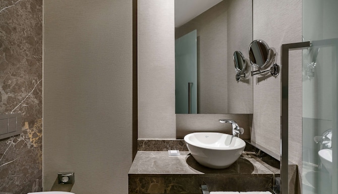 Radisson Blu Hotel & Spa, Istanbul Tuzla - Hammam Suite 2nd bathroom