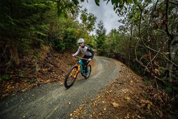 Radisson Blu Hotel and Spa, Limerick - Ballyhoura Mountain Bike Trails