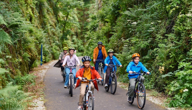 Radisson Blu Hotel and Spa, Limerick - Family Cycling Barnagh Limerick Greenway