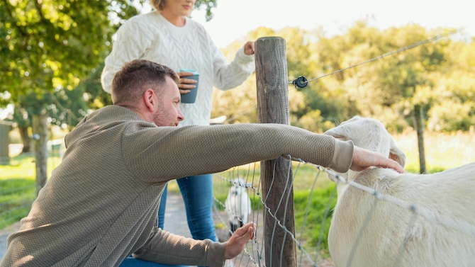 Radisson Blu Hotel and Spa, Limerick - The Paddocks Open Farm