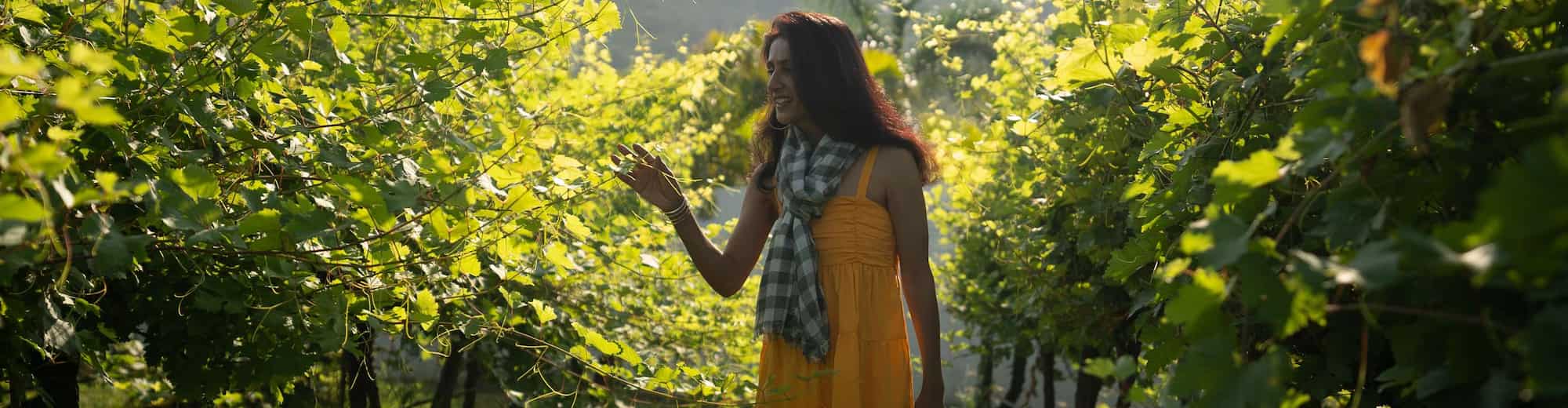 Radisson Blu Hotel and Spa, Nashik - Vineyards