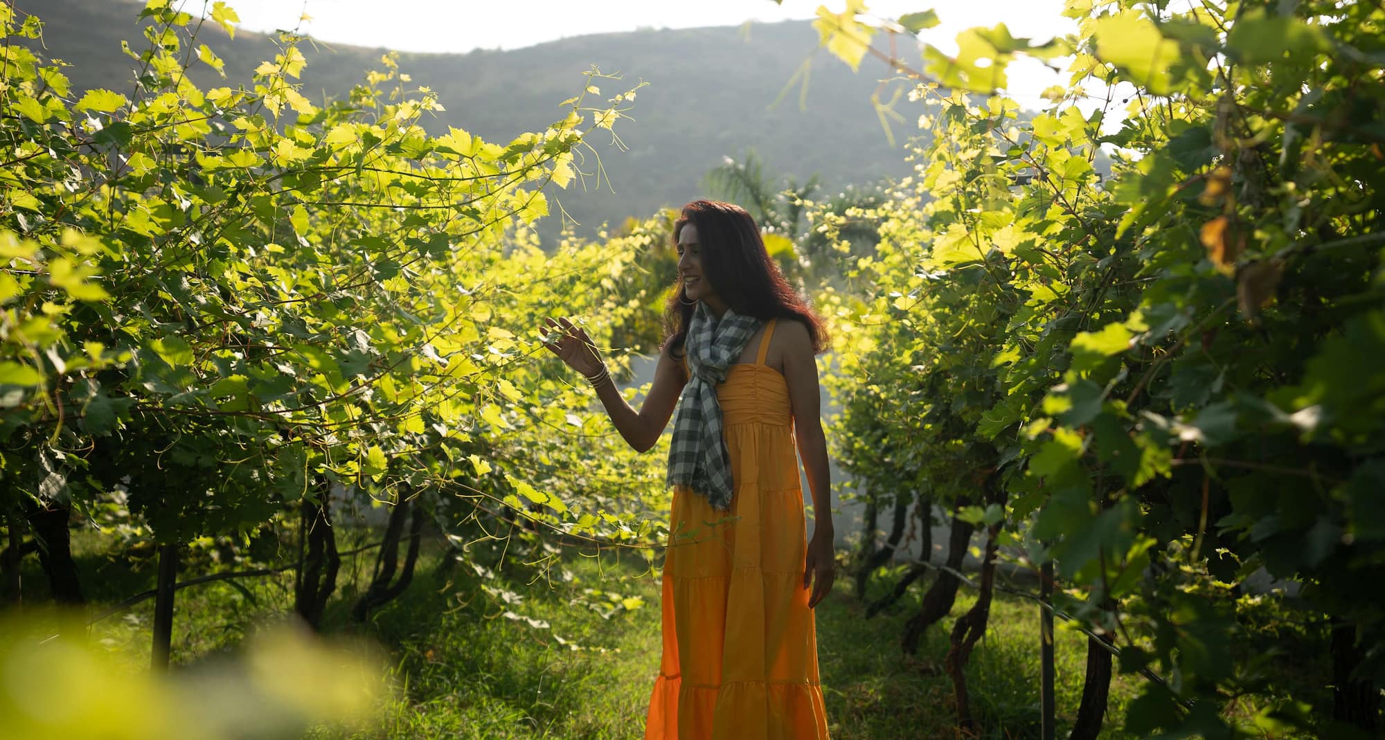 Radisson Blu Hotel & Spa, Nashik - Vineyards