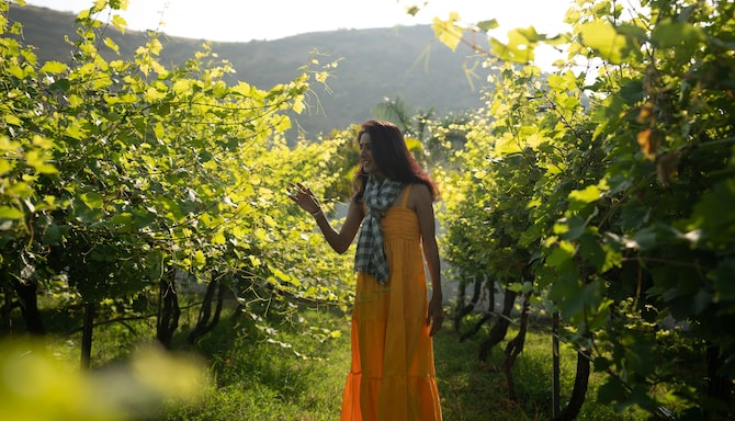 Radisson Blu Hotel and Spa, Nashik - Vineyards