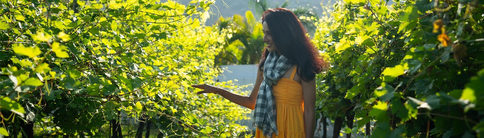 Radisson Blu Hotel and Spa, Nashik - Wineyards