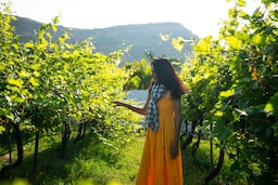 Radisson Blu Hotel and Spa, Nashik - Wineyards