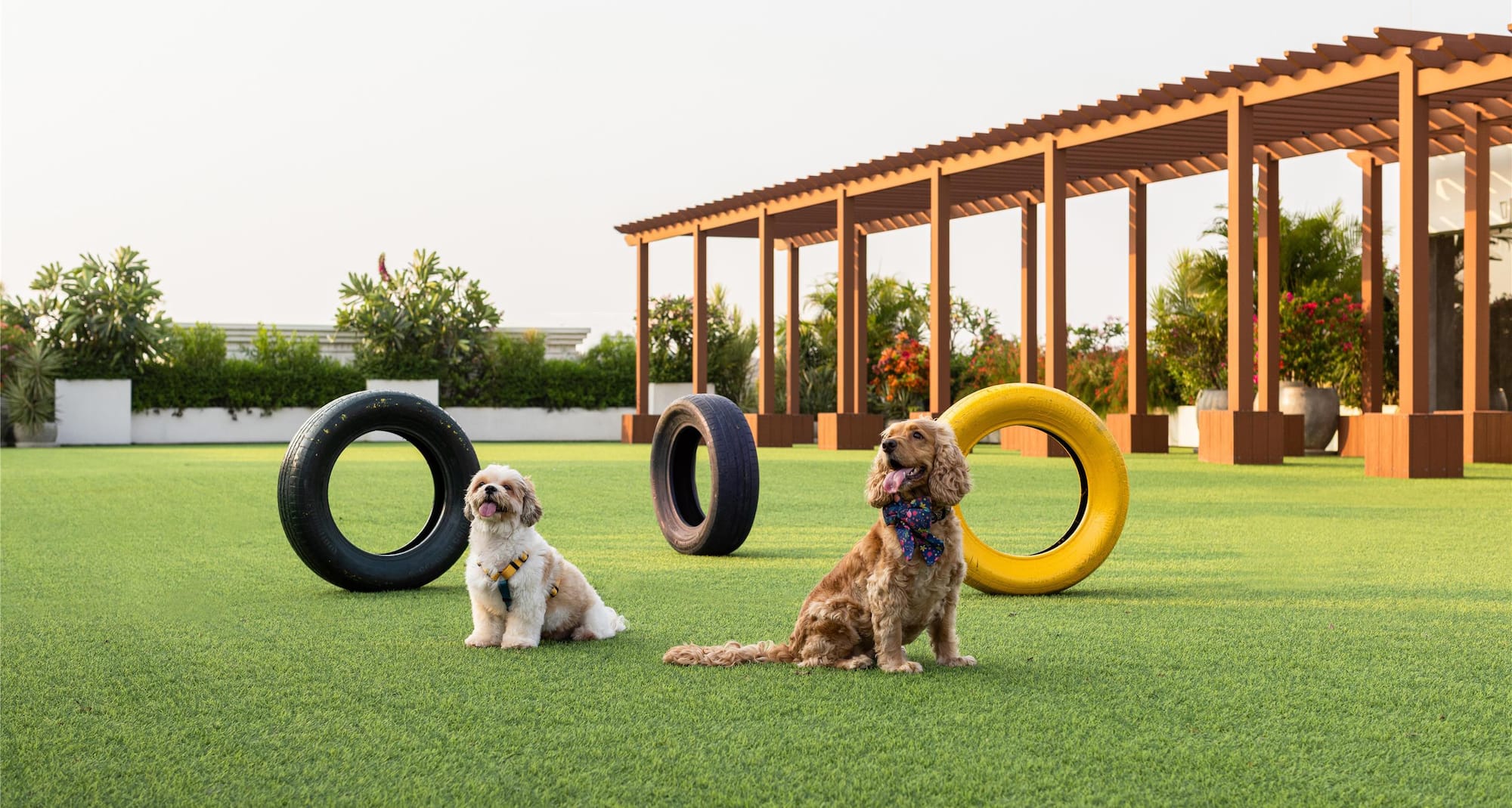 Radisson Blu Hotel and Suites GRT Chennai - Pets