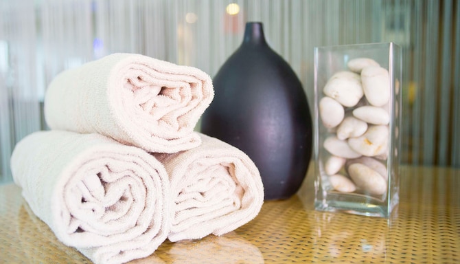 Radisson Blu Hotel, Toulouse Airport - Spa Amenities