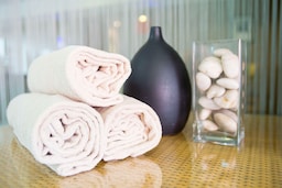 Radisson Blu Hotel, Toulouse Airport - Spa Amenities