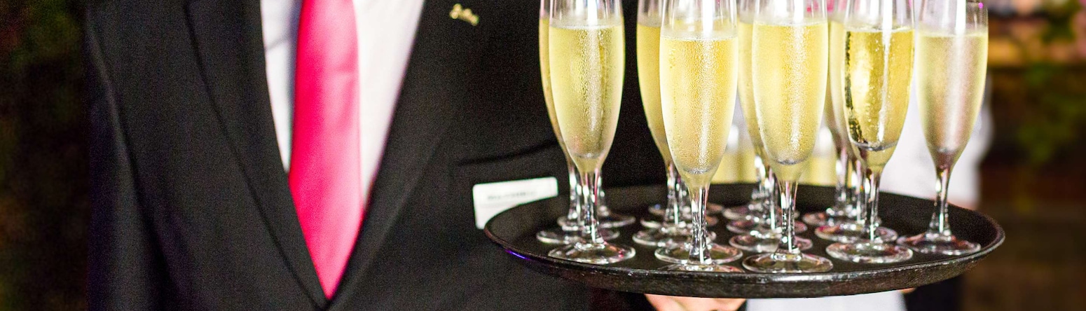 Radisson Blu Hotel, Toulouse Airport - Wedding