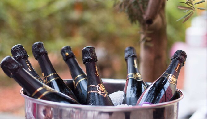 Radisson Blu Hotel, Toulouse Airport - Wedding