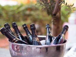 Radisson Blu Hotel, Toulouse Airport - Wedding