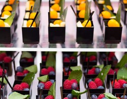 Radisson Blu Hotel, Toulouse Airport - Wedding