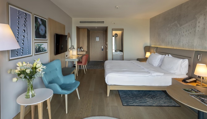 Radisson Blu Hotel, Trabzon - Standard Room