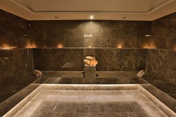 Radisson Blu Hotel, Trabzon - Steam Room