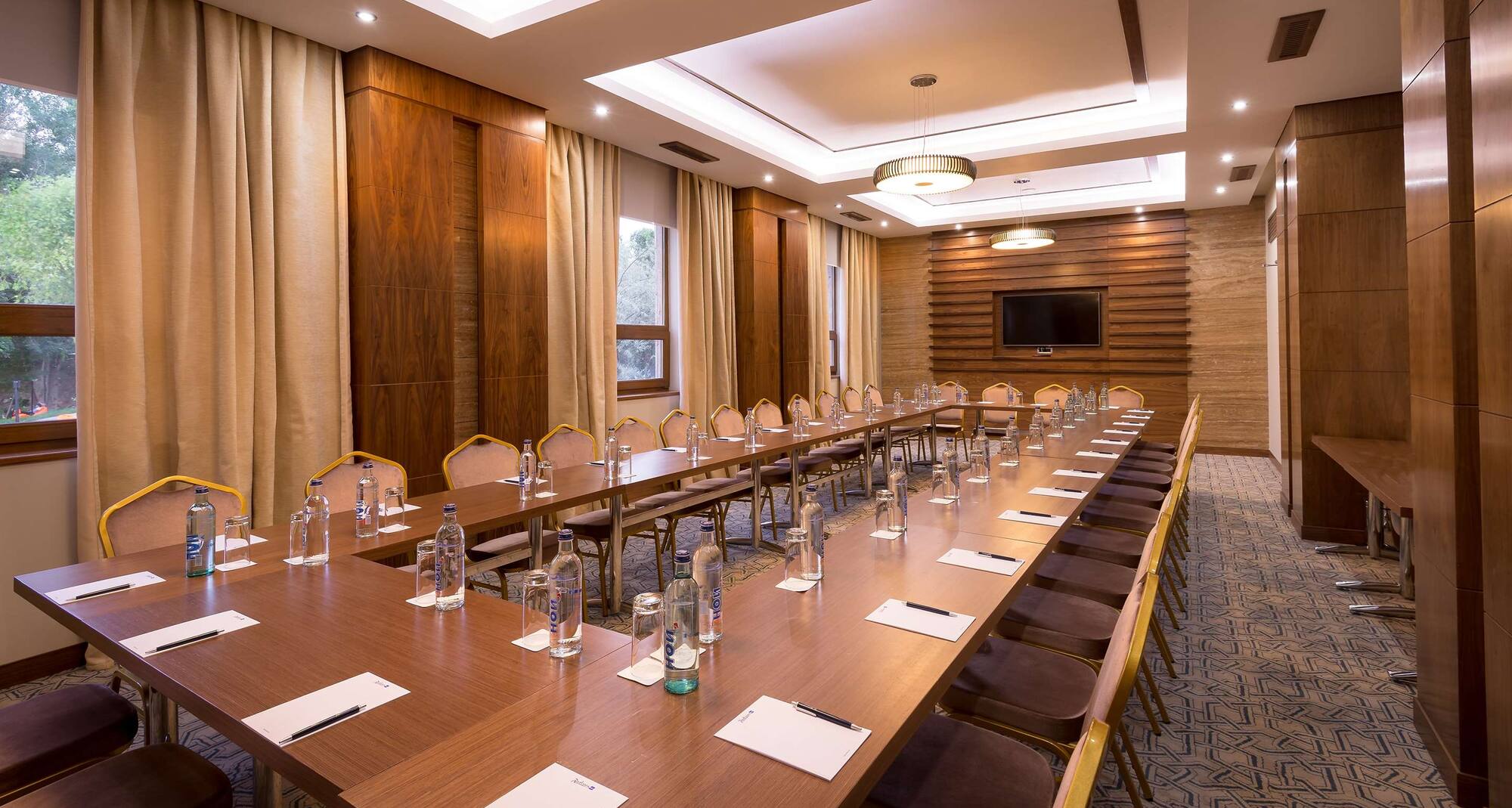  埃里温丽笙酒店 - 会议室