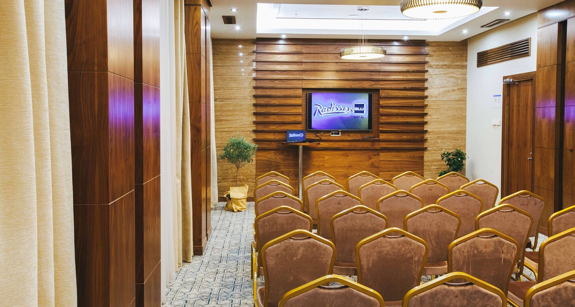  埃里温丽笙酒店 - 会议室