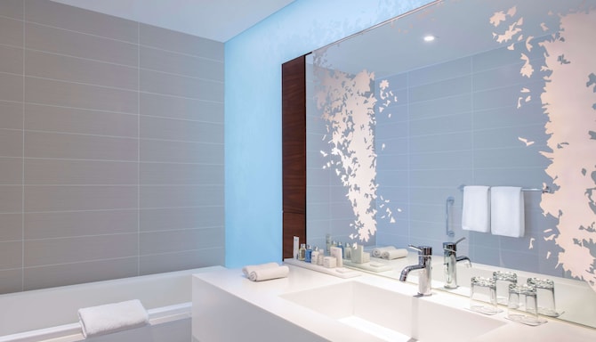 Radisson Blu Iveria Hotel, Tbilisi City Centre - Standard room bathroom