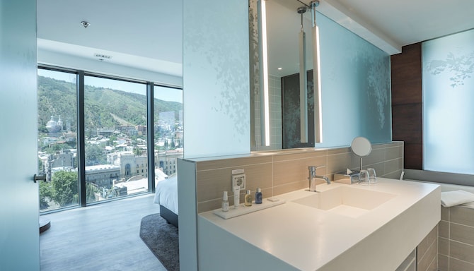 Radisson Blu Iveria Hotel, Tbilisi City Centre - حمام غرفة الضيوف