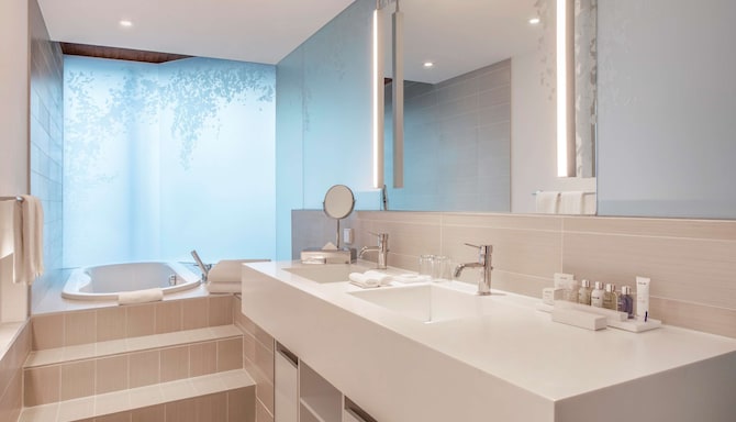 فندق Radisson Blu Iveria Hotel, Tbilisi City Centre - حمام جناح صغير