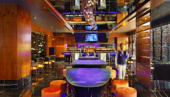 Radisson Blu Jammu - Madiza Bar