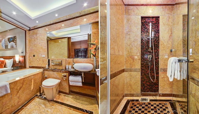 Radisson Blu Kaushambi Delhi NCR - Business Class Bathroom