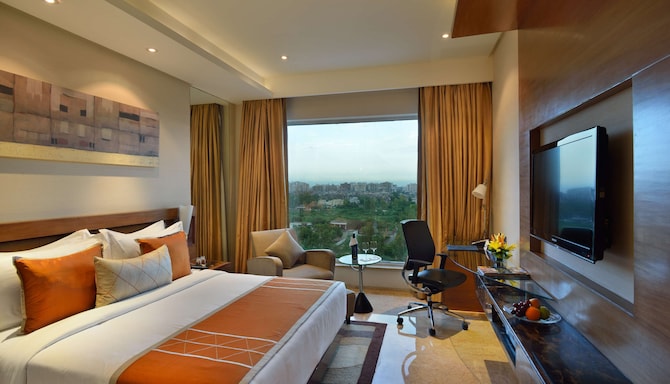 Radisson Blu Kaushambi Delhi NCR - Business Class Room