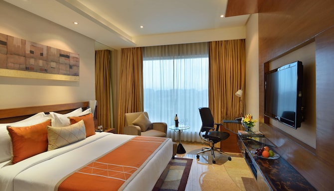 Radisson Blu Kaushambi Delhi NCR - Business Class Room