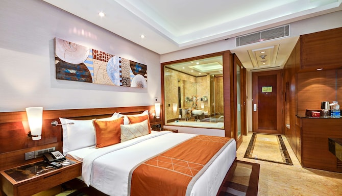 Radisson Blu Kaushambi Delhi NCR - Business Class Room