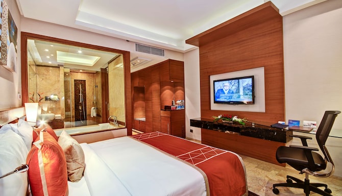Radisson Blu Kaushambi Delhi NCR - Business Class Room