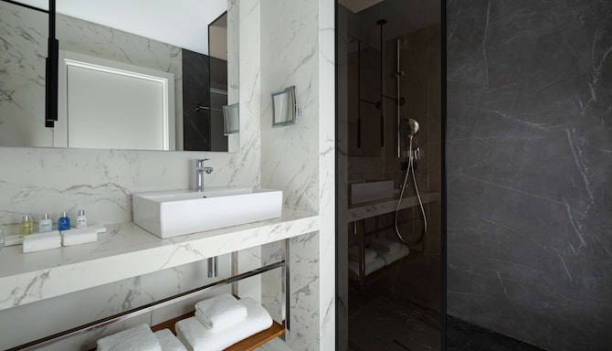 Radisson Blu Leninsky Prospect Hotel, Moscow - Premium Room bathroom