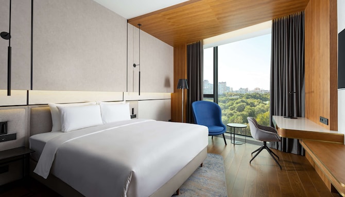 Radisson Blu Leninsky Prospect Hotel, Moscow - Executive Room Park View
