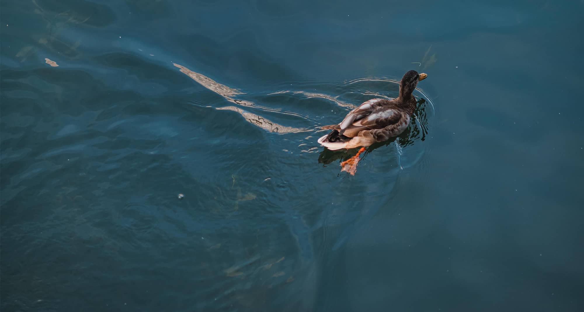 Radisson Blu Leninsky Prospect Hotel, Moscow - Lifestyle