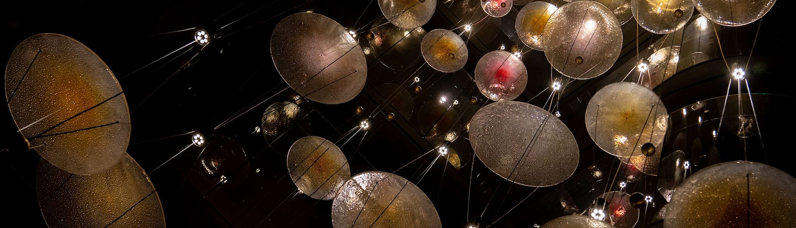 Radisson Blu Leninsky Prospect Hotel, Moscow - Wedding