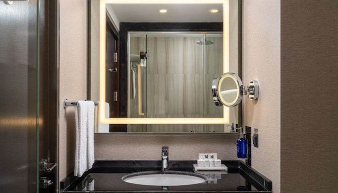 Radisson Blu Leogrand Hotel, Chisinau - Гостевая комната с ванной