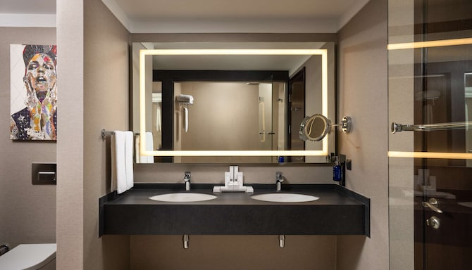 Radisson Blu Leogrand Hotel, Chisinau - Люкс ванна