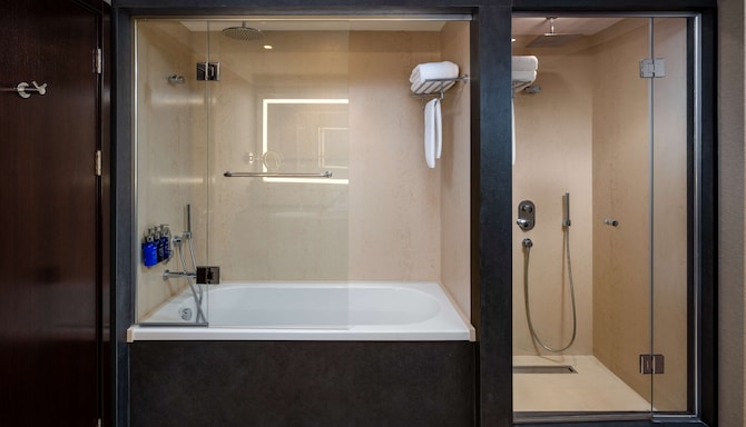 Radisson Blu Leogrand Hotel, Chisinau - Люкс ванна