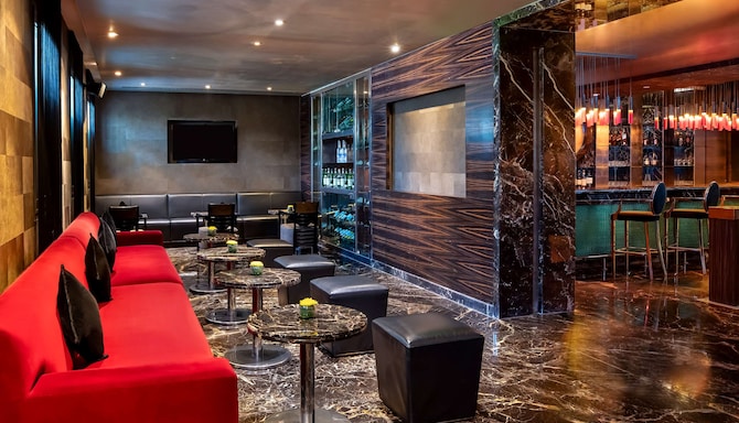 Radisson Blu Marina Hotel Connaught Place - The Connaught Bar