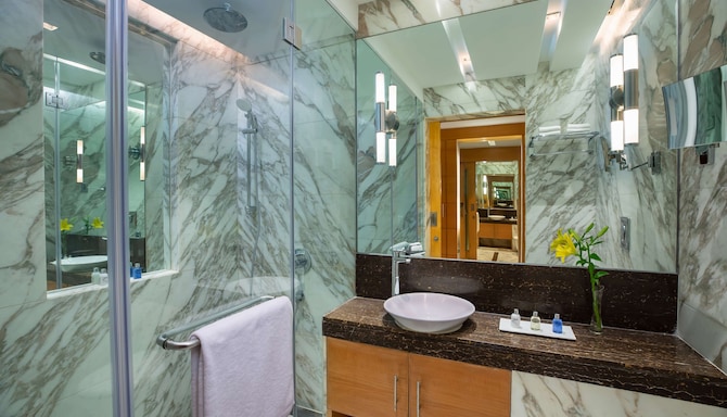 Radisson Blu Marina Hotel Connaught Place - Business Class Bathroom