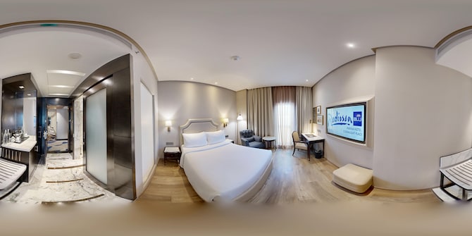 Radisson Blu Marina Hotel Connaught Place - Standard Room