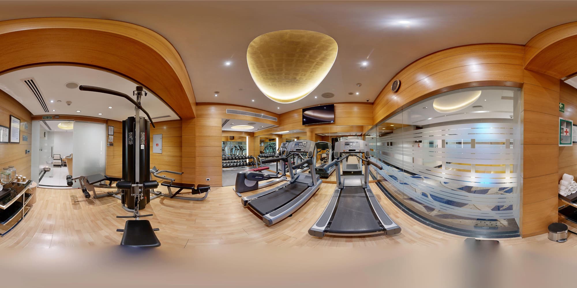 Radisson Blu Marina Hotel Connaught Place - Gym