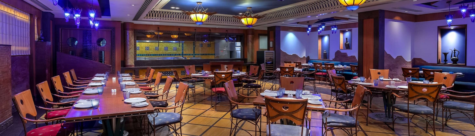 Radisson Blu Marina Hotel Connaught Place - The Great Kabab Factory