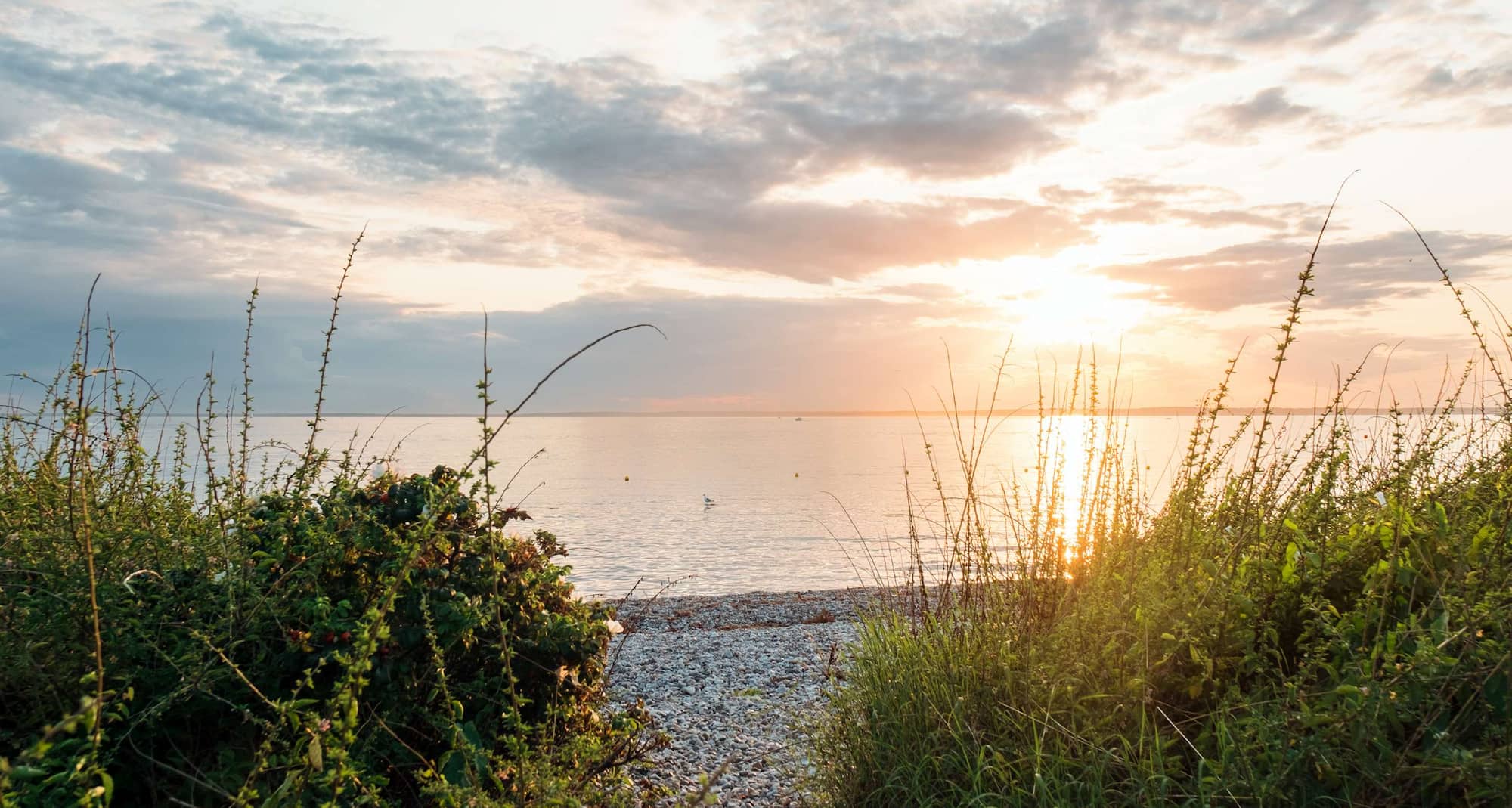 Radisson Blu Metropol Hotel, Helsingborg - Nearby Attraction