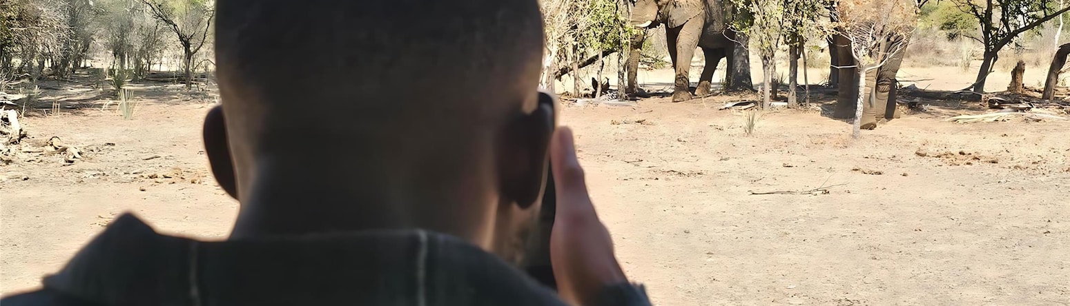 Radisson Blu Mosi-oa-Tunya Livingstone Resort - Game Drive