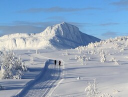 Radisson Blu Mountain Resort, Beitostølen - Bitihorn
