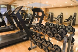 Radisson Blu Park Hotel, Athens - Gimnasio
