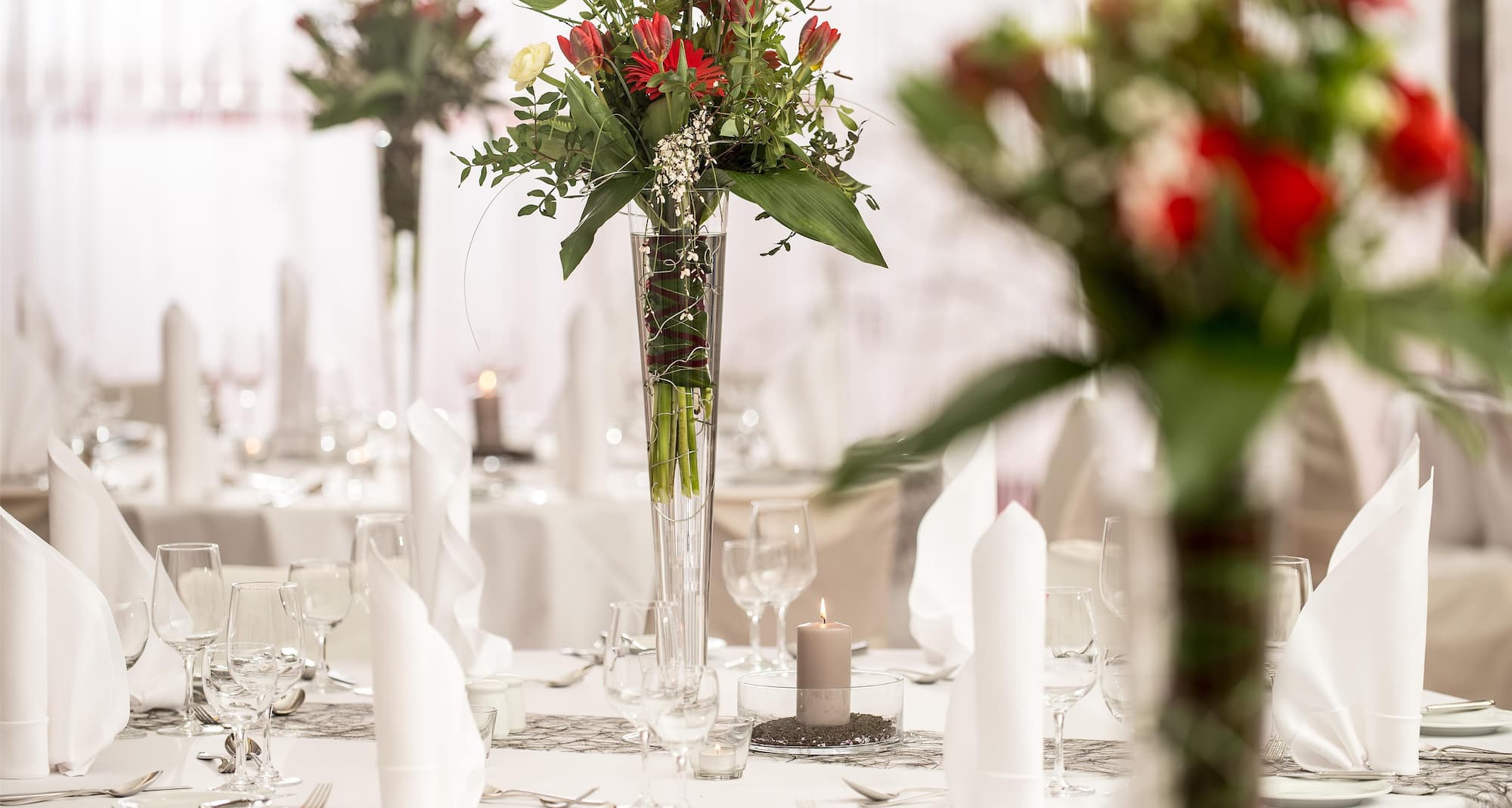 Radisson Blu Park Hotel and Conference Centre, Dresden Radebeul - Banquet Details