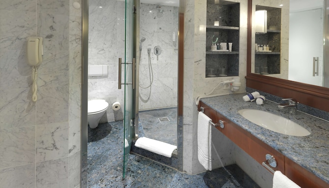 Radisson Blu Park Hotel & Conference Centre, Dresden Radebeul - Suite